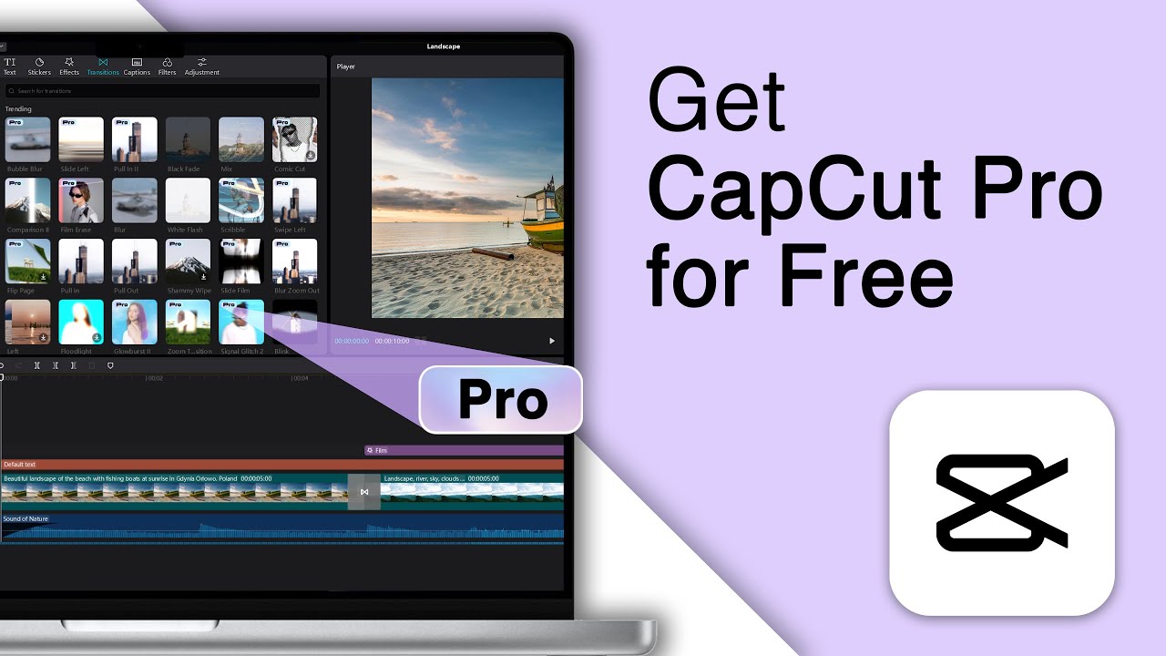 CapCut Desktop Pro